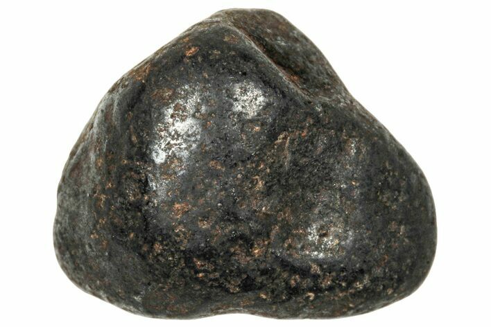 Agoudal Iron Meteorite ( g) - Morocco #303910